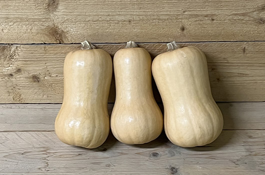 butternut