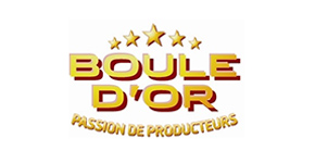 logo-boule-dor