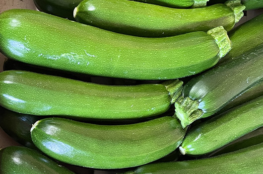 courgette